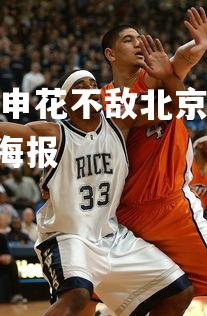 爱游戏体育在线-上海申花不敌北京国安，实力有待提高，上海申花vs北京国安海报