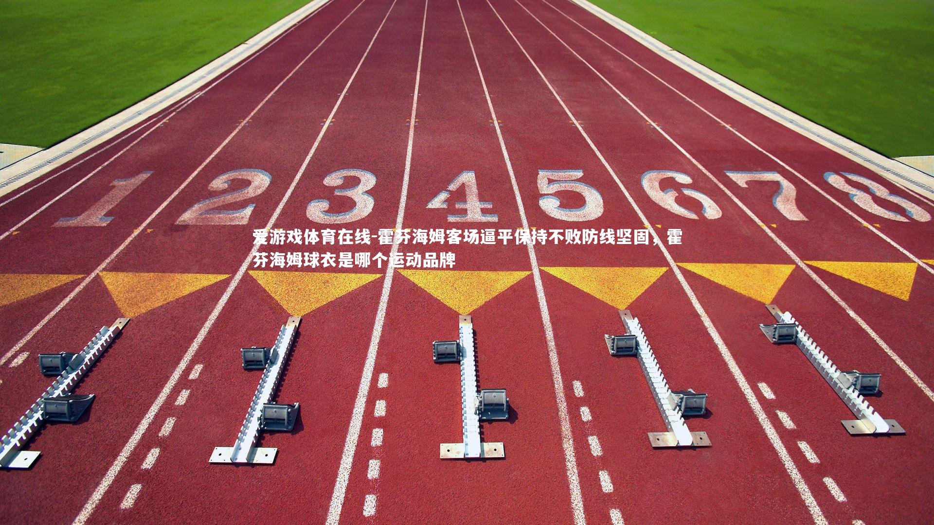 爱游戏体育在线-霍芬海姆客场逼平保持不败防线坚固，霍芬海姆球衣是哪个运动品牌