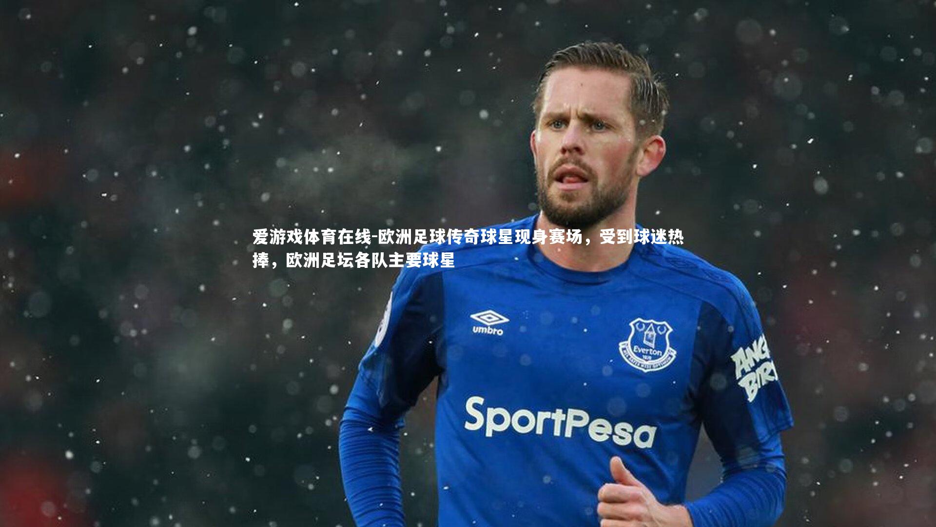 欧洲足球传奇球星现身赛场，受到球迷热捧，欧洲足坛各队主要球星