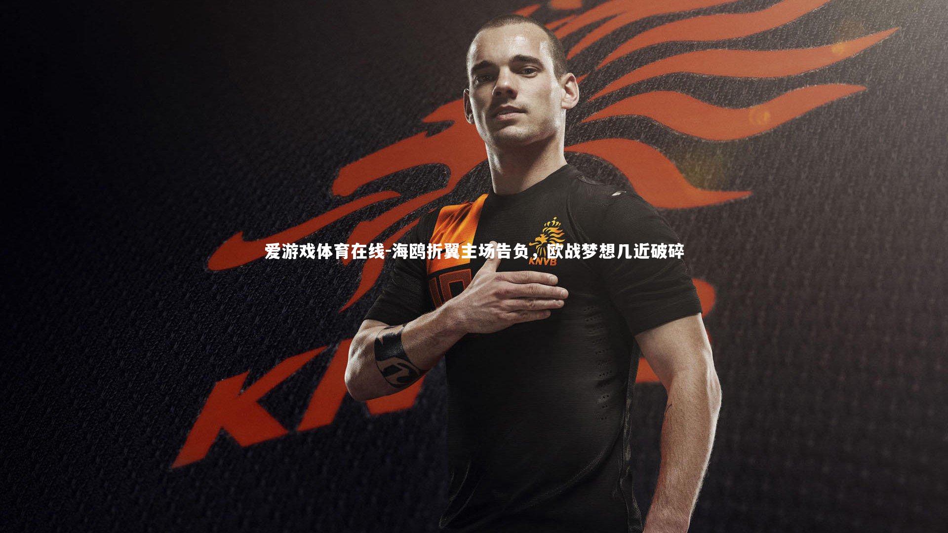 爱游戏体育在线-海鸥折翼主场告负，欧战梦想几近破碎