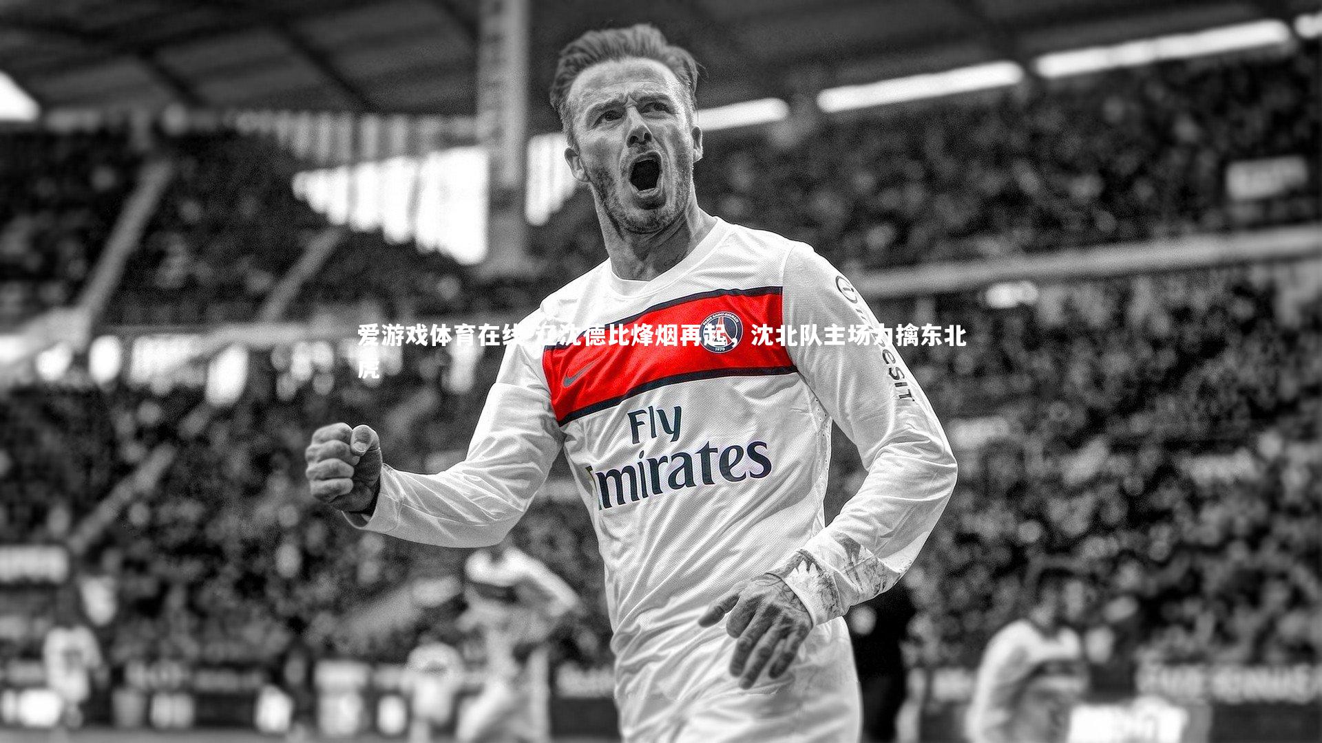 爱游戏体育在线-辽沈德比烽烟再起，沈北队主场力擒东北虎