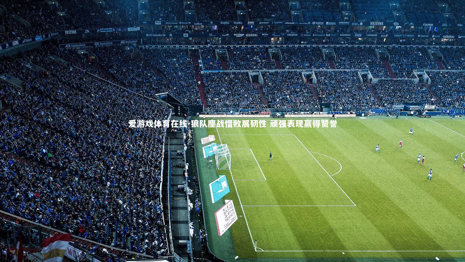 爱游戏体育在线-狼队鏖战惜败展韧性 顽强表现赢得赞誉