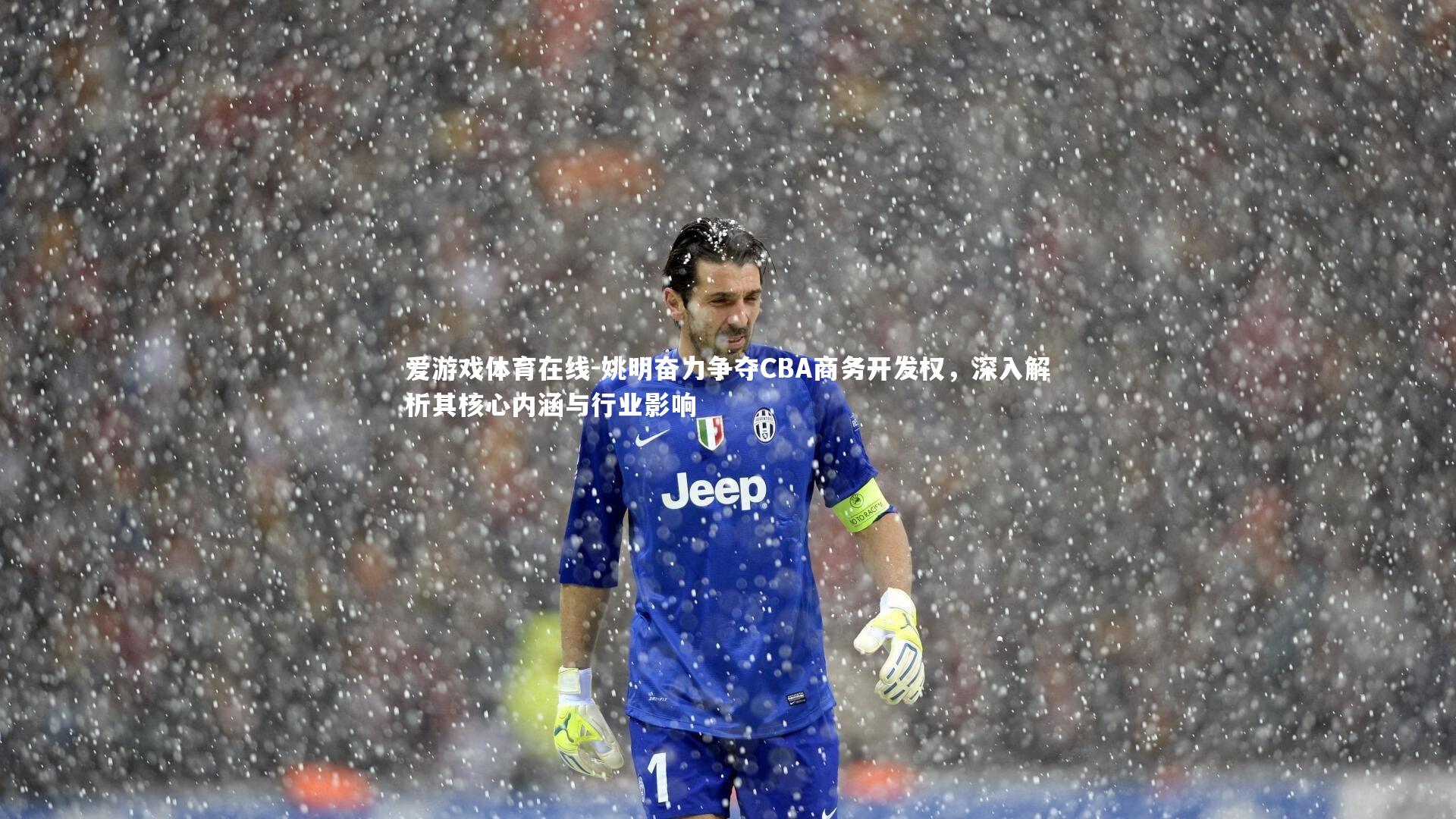 姚明奋力争夺CBA商务开发权，深入解析其核心内涵与行业影响